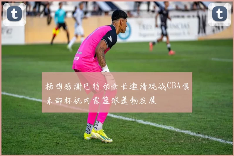 杨鸣感谢巴特尔会长邀请观战CBA俱乐部杯祝内蒙篮球蓬勃发展